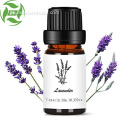 A mais alta qualidade óleo de aromaterapia Lavanda 100% óleo puro